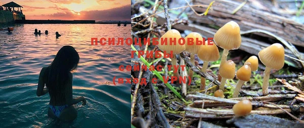 не бодяженный Алексин