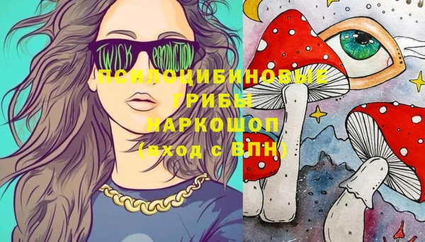 прущая мука Алзамай