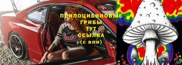 не бодяженный Алексин