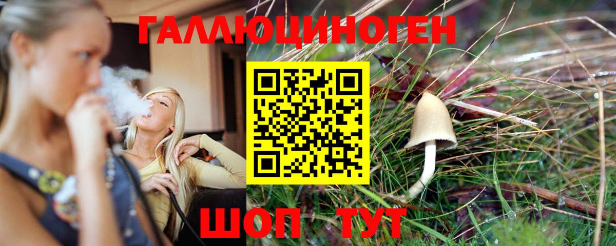 Галлюциногенные грибы Psilocybe  Псилоцибиновые грибы Magic Shrooms  Вход с VPN  Полысаево 